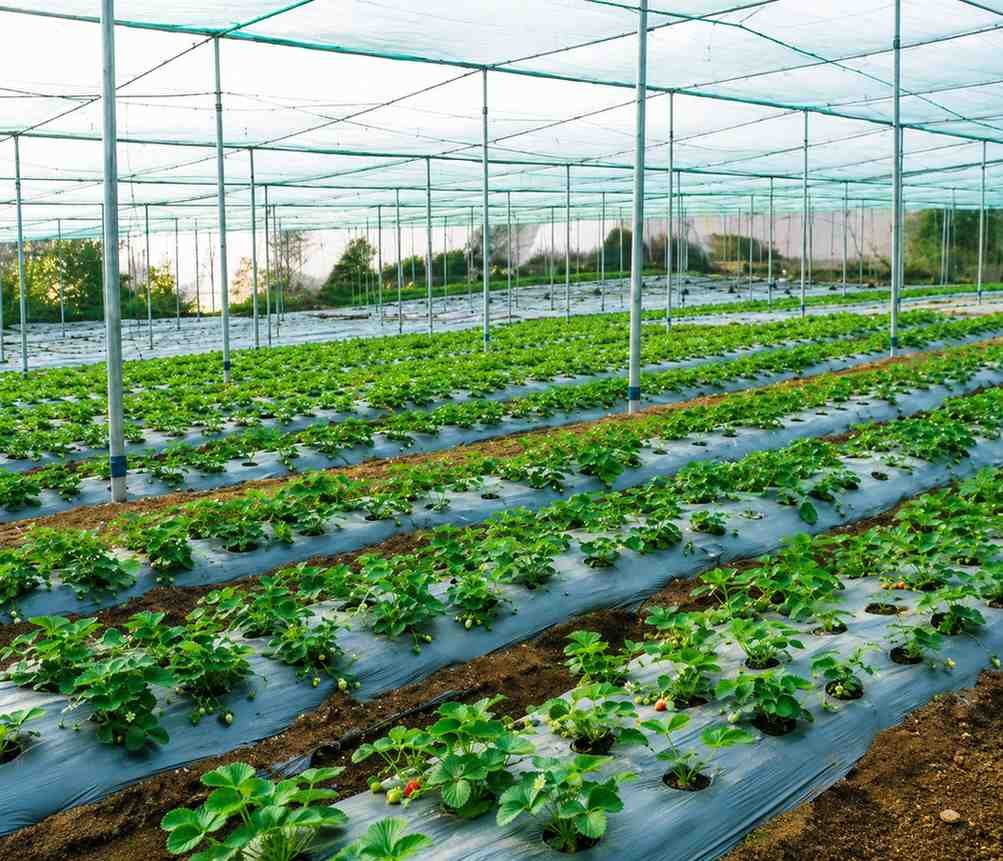 Lifestyle experience at Earth County Ranjangaon